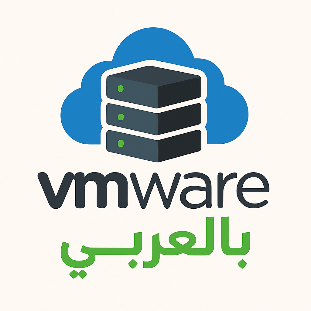 VMware Belaraby Logo